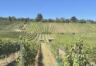 Idyllisches Ferienappartment nähe Neusiedler See und Eisenstadt - 40.000,00 €