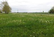 Liegenschaft in Ungarn für Tierliebhaber
