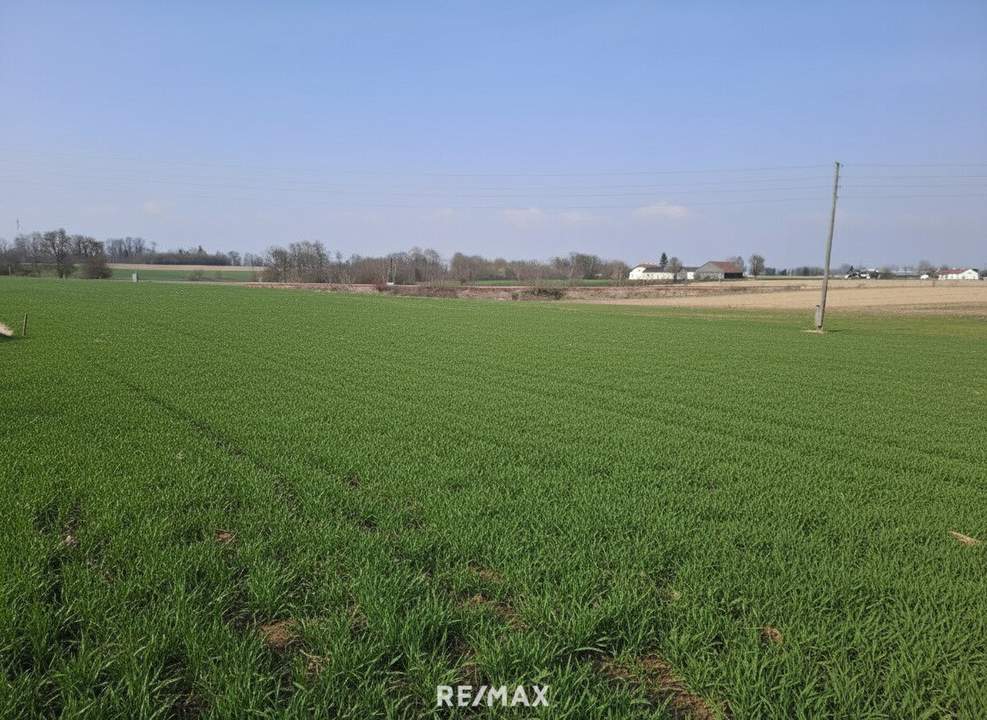 Sonniger &amp; ebener Baugrund in Altheim ohne Bauzwang