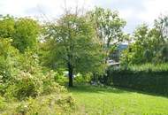 Baugrundstück in idyllischer Lage auf leichtem Südhang in Tulln-Nähe