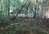 Leben am Waldrand! Baugrundstück im Wienerwald! Nahe an Wien!