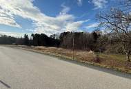 Großes Baugrundstück mit Wald ohne Bauzwang