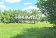 Großes Grundstück mit Fischteich und Badeteich, Erholungsanlage, Freizeitparadies mit viel Potenzial