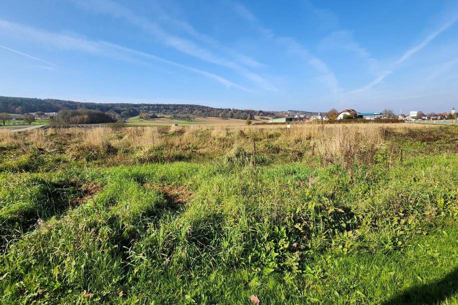 GENIALER GEWERBEGRUND IN THERMENNÄHE!, Grund und Boden-kauf, 598.000,€, 8271 Hartberg-Fürstenfeld