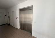Helle 3-Zimmer Neubau Maisonette-Wohnung mit 2 Terassen, Wohnküche, Gartennutzung, Kellerabteil und Garagenplatz optional
