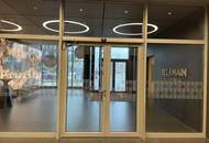 UNBEFRISTETE 2 Zimmer-Wohnung mit viel Freifläche