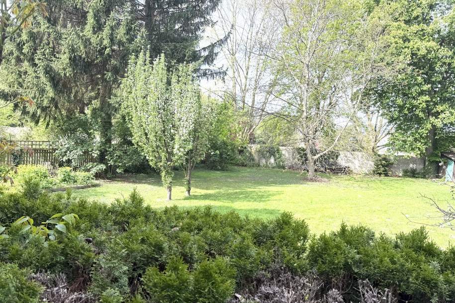 3-Zimmer-Wohnung in zentraler Lage von Neunkirchen, Wohnung-kauf, 127.000,€, 2620 Neunkirchen