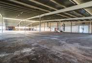 GIGANTISCH gesucht? HIER RICHTIG