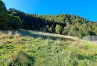 Großzügiges Baugrundstück in Reichraming