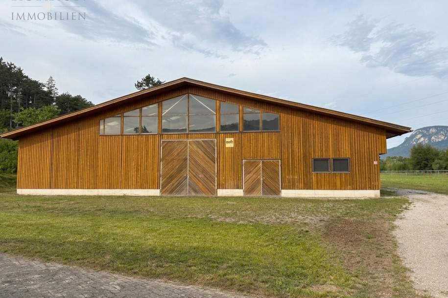PFERDEHALTUNG MIT WEITBLICK – LANDWIRTSCHAFTLICHES ANWESEN IN ALLEINLAGE, Gewerbeobjekt-kauf, 5.000.000,€, 2722 Wiener Neustadt(Land)