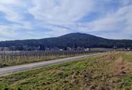 „Rarität bei den Weinbergen – Baugrundstück mit 70 % Verbaubarkeit in Ruhelage“