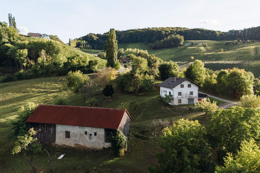Obegg–Graßnitzberg: Wo Visionen Raum bekommen – Außergewöhnliches Anwesen mit Weitblick und Entwicklungspotenzial zu einem sensationellen Preis!