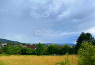 Die Sensation am Bisamberg