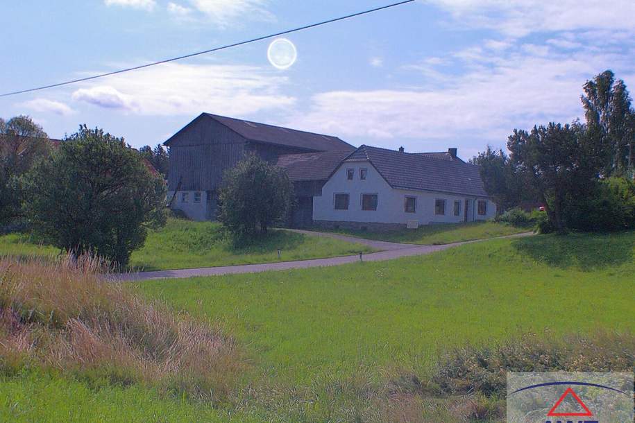 Renoviertes Bauernsacherl in idyllischer Dorflage!, Haus-kauf, 3921 Zwettl