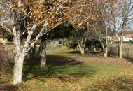 "Energiesparhaus in schöner Lage"