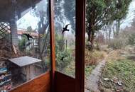 "Doppeltes Glück! Liegenschaft in Moosbrunn an der Piesting"