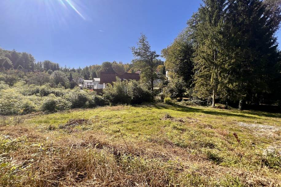 Rarität! Ca. 1.548 m² großes, ruhiges Grundstück - Stadtrandnähe, nur 10 Minuten vom LKH entfernt!, Grund und Boden-kauf, 399.500,€, 8075 Graz-Umgebung