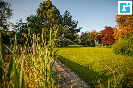 Idyllisches Seegrundstück mit Ferienhaus, Haus-kauf, 900.000,€, 7100 Neusiedl am See