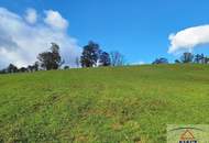 Sonniges Baugrundstück im steirischen Almenland nahe dem Golfplatz!