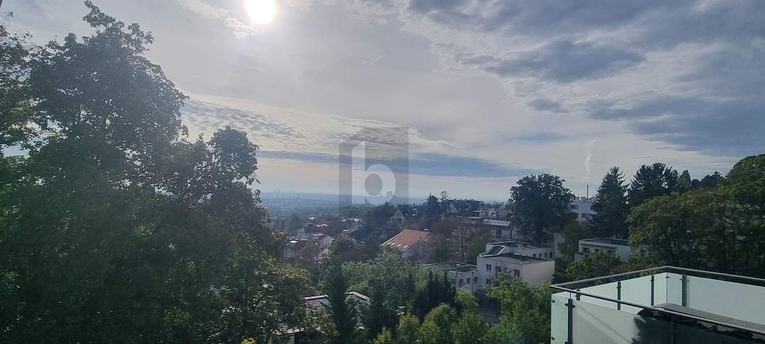 TOP LAGE MIT WEITBLICK AUF GANZ WIEN!