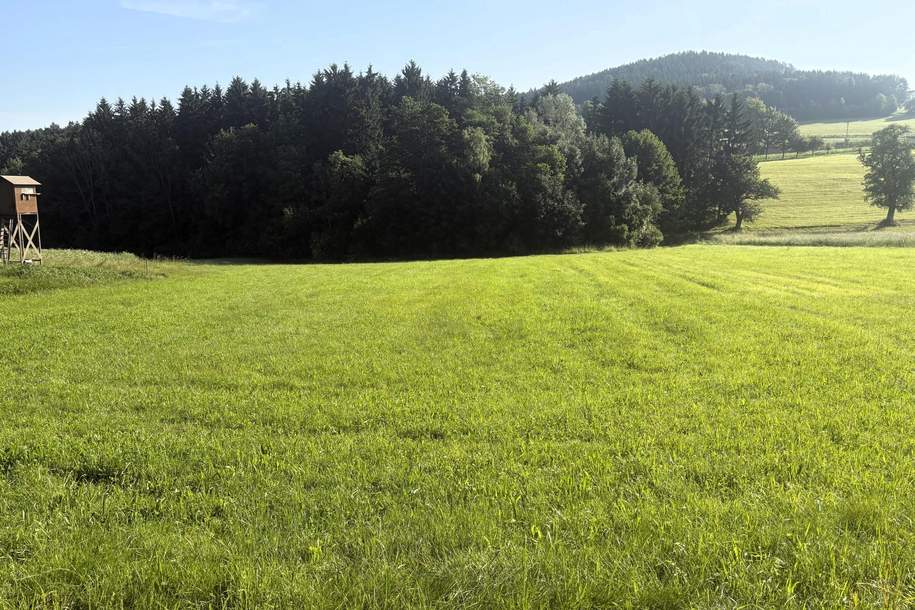 Wald- und landwirtschaftliche Nutzflächen, Grund und Boden-kauf, 69.000,€, 4212 Freistadt