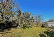 Traumhaftes großes Baugrundstück in Zwentendorf !