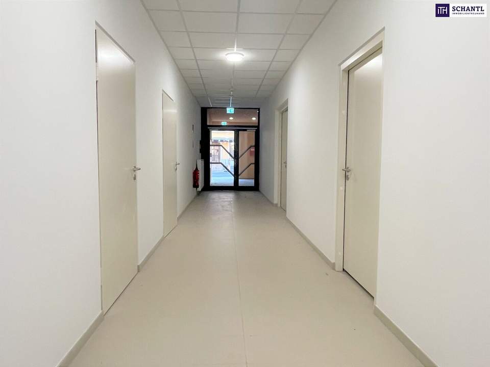 SPITZE! LAGE LAGE LAGE! DIREKT AM HAUPTPLATZ! ERSTBEZUG! SMARTE GEWERBEFLÄCHE!