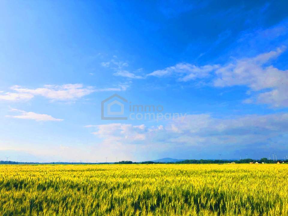 Landwirtschaftliche Nutzfläche in Ideallage