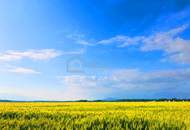 Landwirtschaftliche Nutzfläche in Ideallage