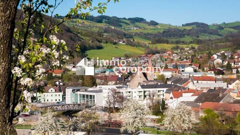 2-Zimmer Gartenwohnung mit Terrasse und einem Kachelofen - Koffer packen und einziehen!!!