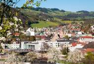 2-Zimmer Gartenwohnung mit Terrasse und einem Kachelofen - Koffer packen und einziehen!!!