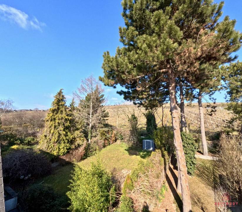 KOFFER PACKEN und EINZIEHEN - NUSSBERG - wunderschön gelegene Wohnung mit Dachterrasse und Blick über Wien und den Wiener Nussberg