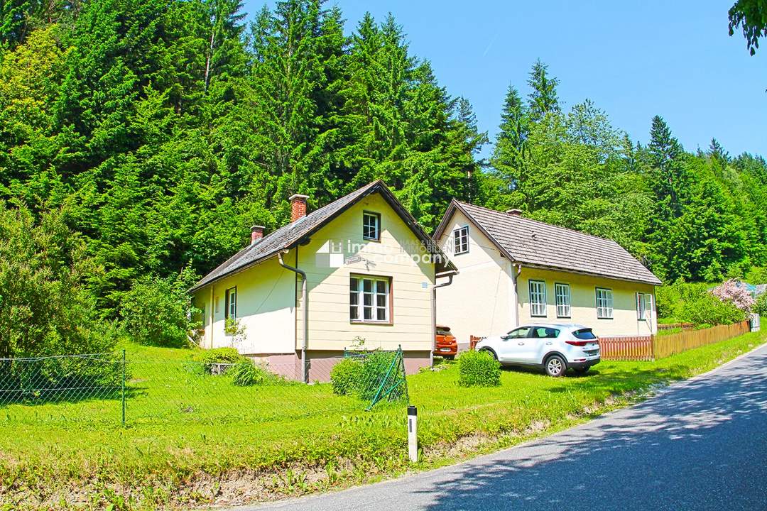 Renovierungsbedürftige Landhäuser viel Grund - Gesamtfläche 4032 m² !!! Renovierung und Schönheitsreparaturen sind erforderlich, dennoch sofort beziehbar.