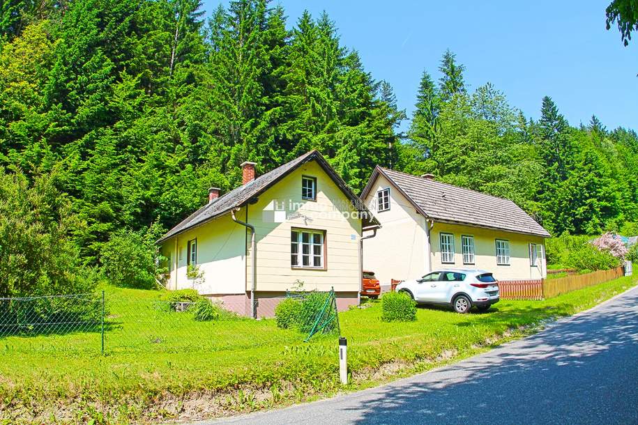 Renovierungsbedürftige Landhäuser viel Grund - Gesamtfläche 4032 m² !!! Renovierung und Schönheitsreparaturen sind erforderlich, dennoch sofort beziehbar., Haus-kauf, 145.000,€, 2572 Lilienfeld