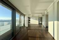 Außergewöhnlicher Balkon, Sonne fast den ganzen Tag, Ausblick wohin das Auge reicht: Neubau Erstbezug DANUBEFLATS