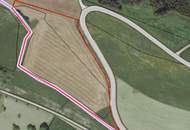 Landwirtschaftliche Fläche