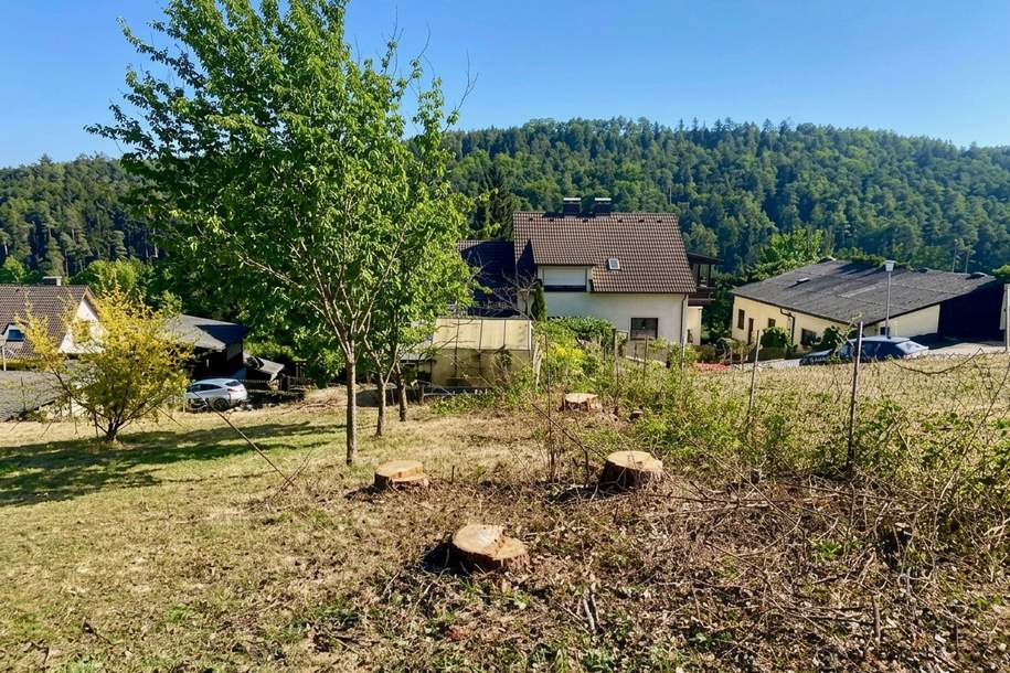 Ruhig, grün und sonnig! Schöner Baugrund Nähe Bad Erlach, Grund und Boden-kauf, 293.280,€, 2822 Wiener Neustadt(Land)
