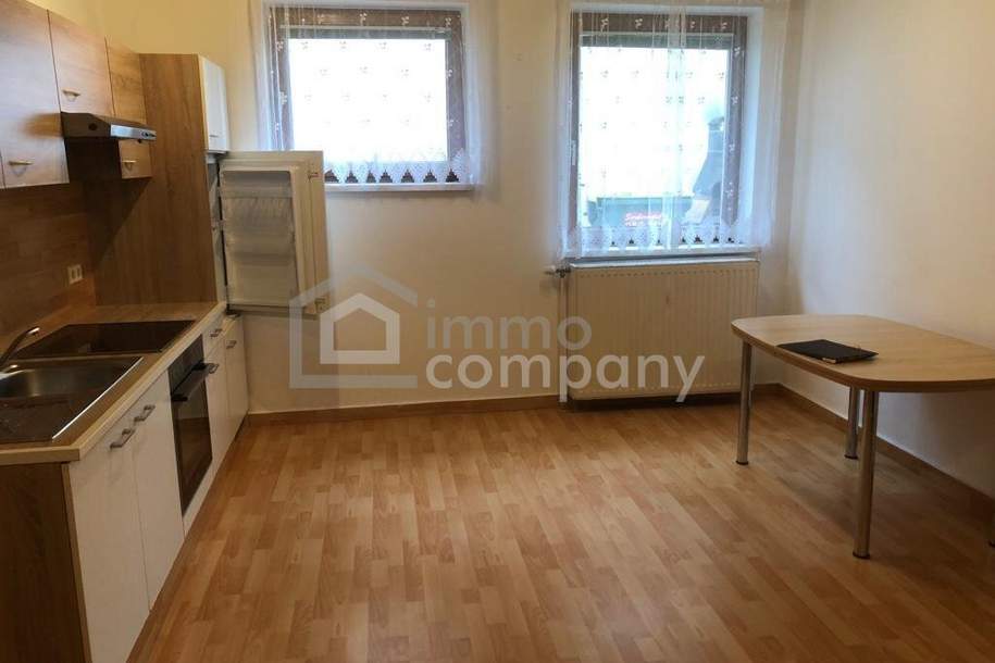 Erdgeschoss Wohnung in 3133 Traismauer mit Innenhof, Wohnung-miete, 620,00,€, 3133 Sankt Pölten(Land)