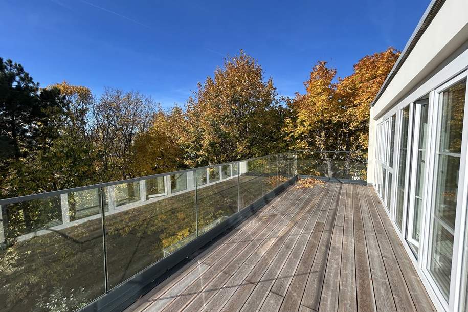 1190! ERSTBEZUG NACH SANIERUNG! Sonniges 4-Zimmer Eigentum mit Galerie und 3 Terrassen!, Wohnung-kauf, 999.000,€, 1190 Wien 19., Döbling