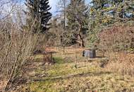 EBENES, SONNIGES BAUGRUNDSTÜCK MIT SCHÖNEM BAUMBESTAND