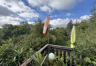 Einfamilienhaus mit großem Keller und traumhaftem Wald-Blick