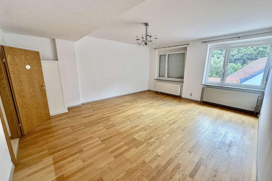 Eigentumswohnung mit großer Terrasse und separaten Eingang!, Wohnung-kauf, 199.000,€, 3500 Krems an der Donau(Stadt)