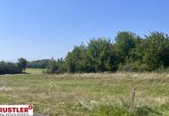 Attraktives Baugrundstück mit Schneebergblick und Badesee Nähe