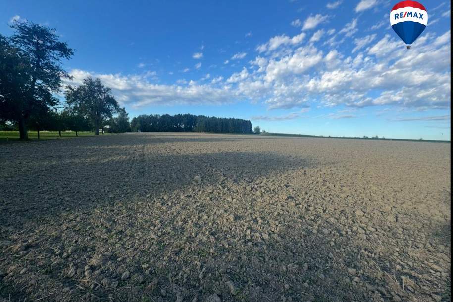 Schöne Ackerfläche in Scharten / Buchkirchen, Grund und Boden-kauf, 399.000,€, 4611 Wels-Land