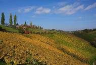 INVESTOREN aufgepasst! Weingut mit Gästezimmer, drei Betriebswohnungen in Leutschacher Aussichtslage PROVISIONSFREI