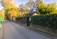 Alte Donau: Kleingartengrundstück mit Altbestand und Entwicklungspotenzial