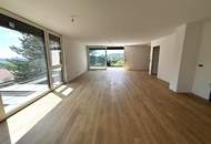 Dacherstbezug mit spektakulärem Wienblick, Terrassen &amp; Dachterrasse in "WOLKE sieben"