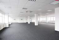 Lagerhalle 430 m2 + Büro 230 m2 Kombination südlich von Wien, in Wr. Neudorf
