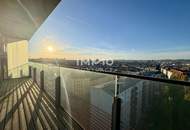 TOP-Ausblick: City mit Stephansdom, Donaukanal, Prater. Concierge, Party &amp; BBQ Lounge, Pool usw.