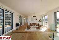 *Wohnen über den Dächern Wiens - Exklusive Dachgeschosswohnungen mit traumhaften Freiflächen*